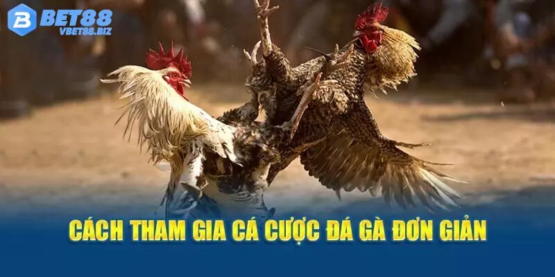 Mẹo cá cược chọi kê cựa dao Bet88 bất bại