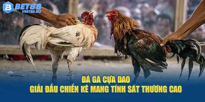 Quy tắc tham gia đá gà cựa dao Bet88 siêu chuẩn